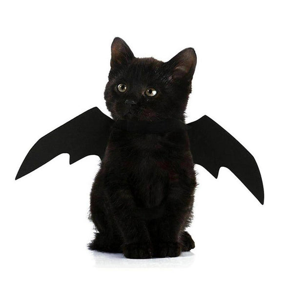 Cute Bat Wings